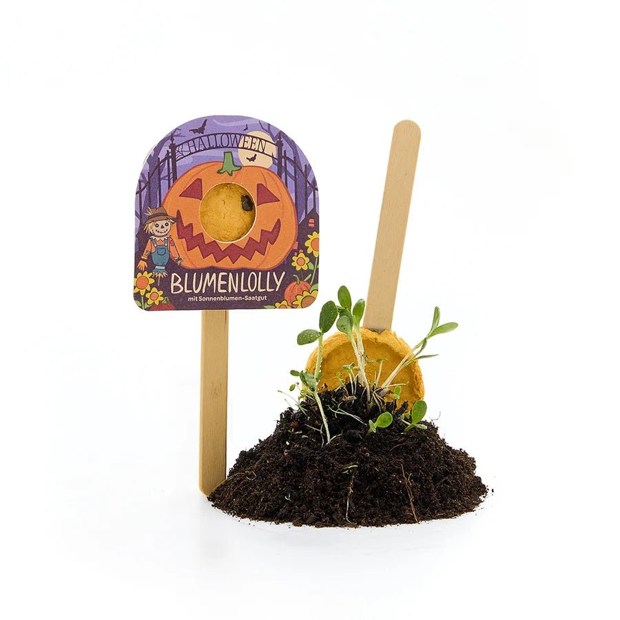 Halloween - Blumenlolly - Sonnenblume TDJ Stadtgärtner GmbH - malmichmunt.com