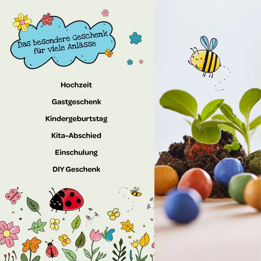 25 Blumenmurmeln in der Dose Die Stadtgärtner - malmichmunt.com