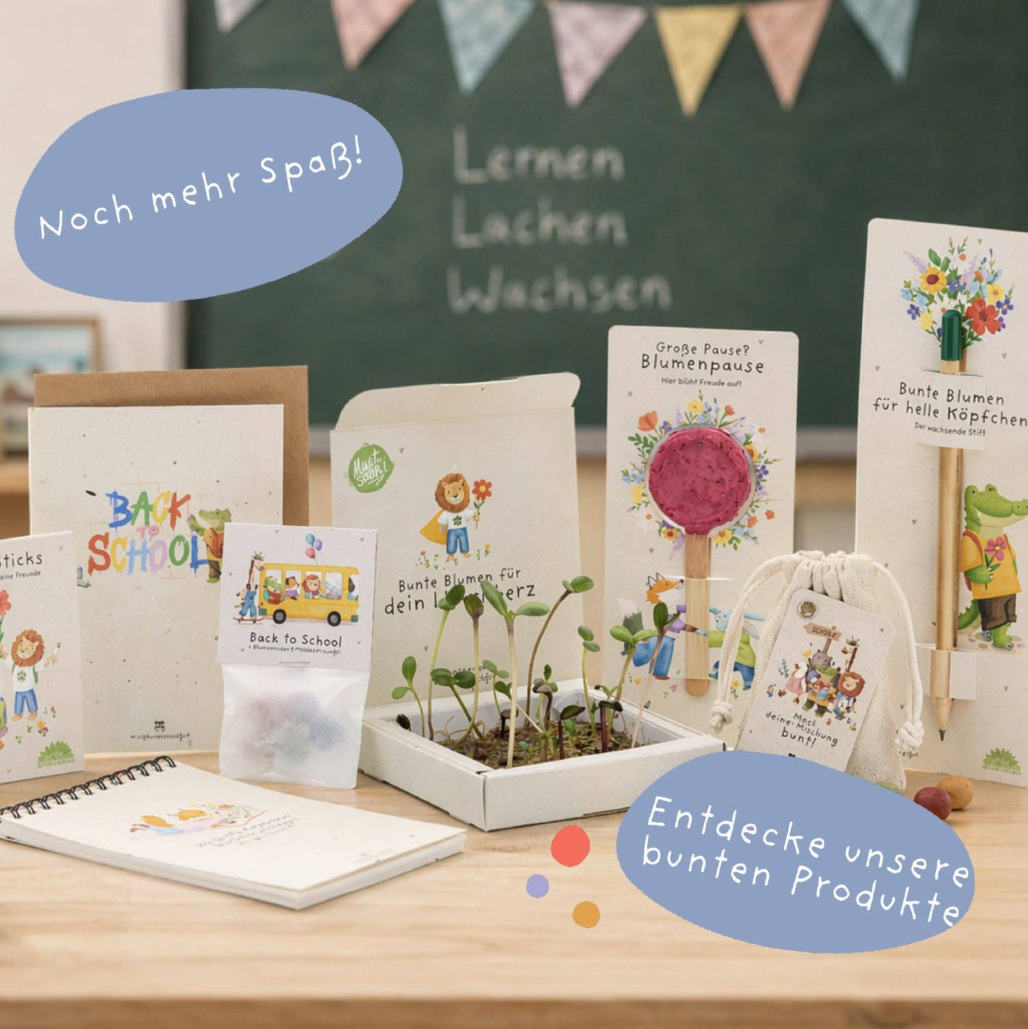 Back-to-School, Pflanzkästchen – Mutblumen TDJ Stadtgärtner GmbH - malmichmunt.com