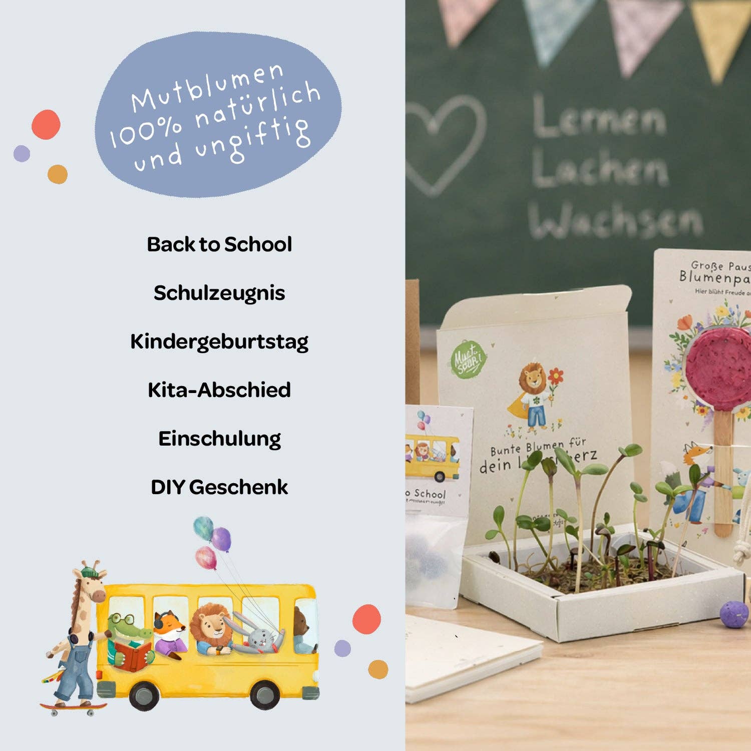 Back-to-School, Pflanzkästchen – Mutblumen TDJ Stadtgärtner GmbH - malmichmunt.com