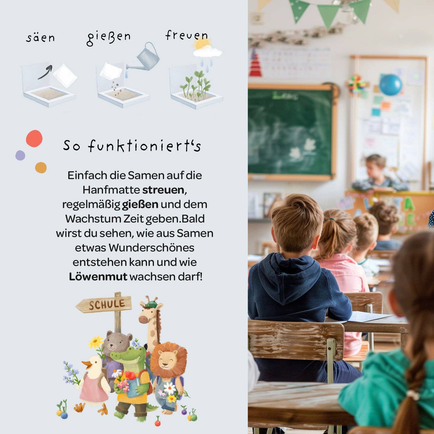 Back-to-School, Pflanzkästchen – Mutblumen TDJ Stadtgärtner GmbH - malmichmunt.com