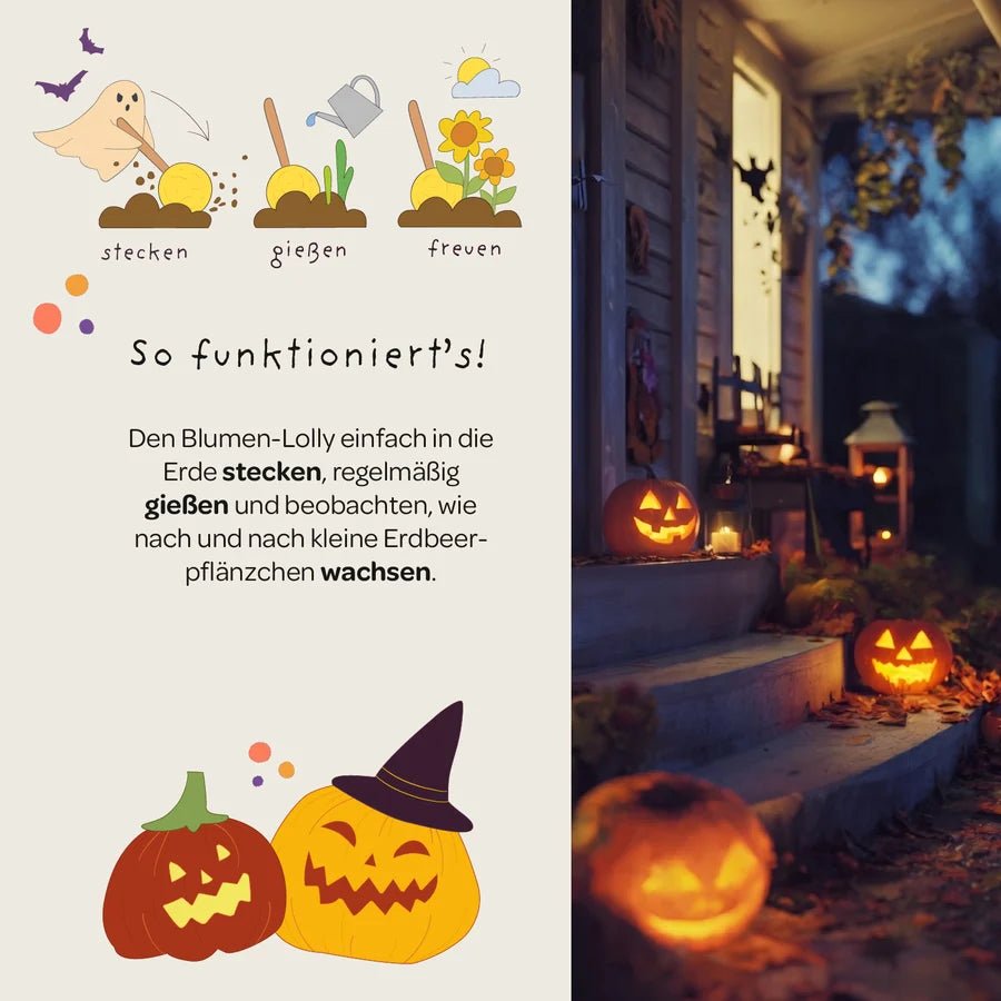 Halloween - Blumenlolly - Sonnenblume TDJ Stadtgärtner GmbH - malmichmunt.com