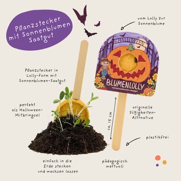 Halloween - Blumenlolly - Sonnenblume TDJ Stadtgärtner GmbH - malmichmunt.com