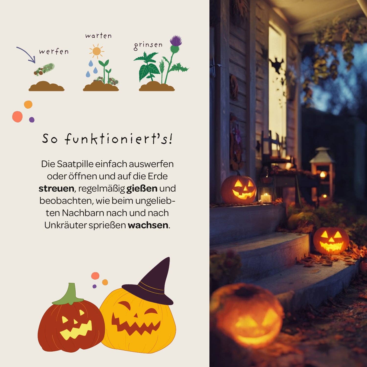 Halloween Saatpille "Süßes oder Saures" - Saures TDJ Stadtgärtner GmbH - malmichmunt.com