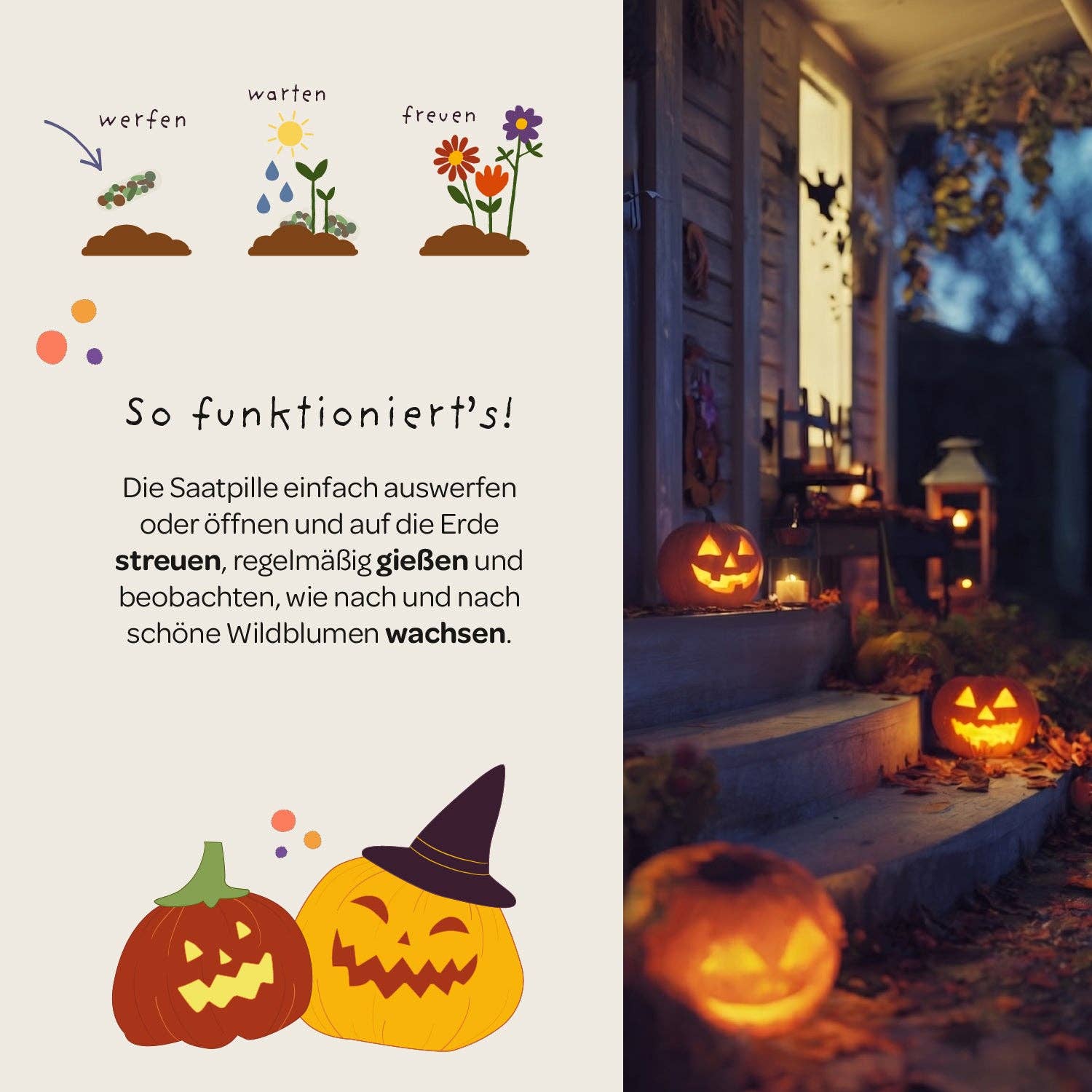 Halloween Saatpille "Süßes oder Saures" - Süßes TDJ Stadtgärtner GmbH - malmichmunt.com
