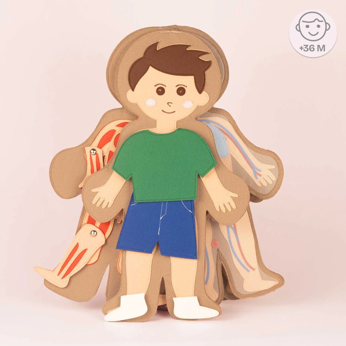 Jolly Designs Travel Buddy Mein Körper - Jungen Jolly Designs - malmichmunt.com