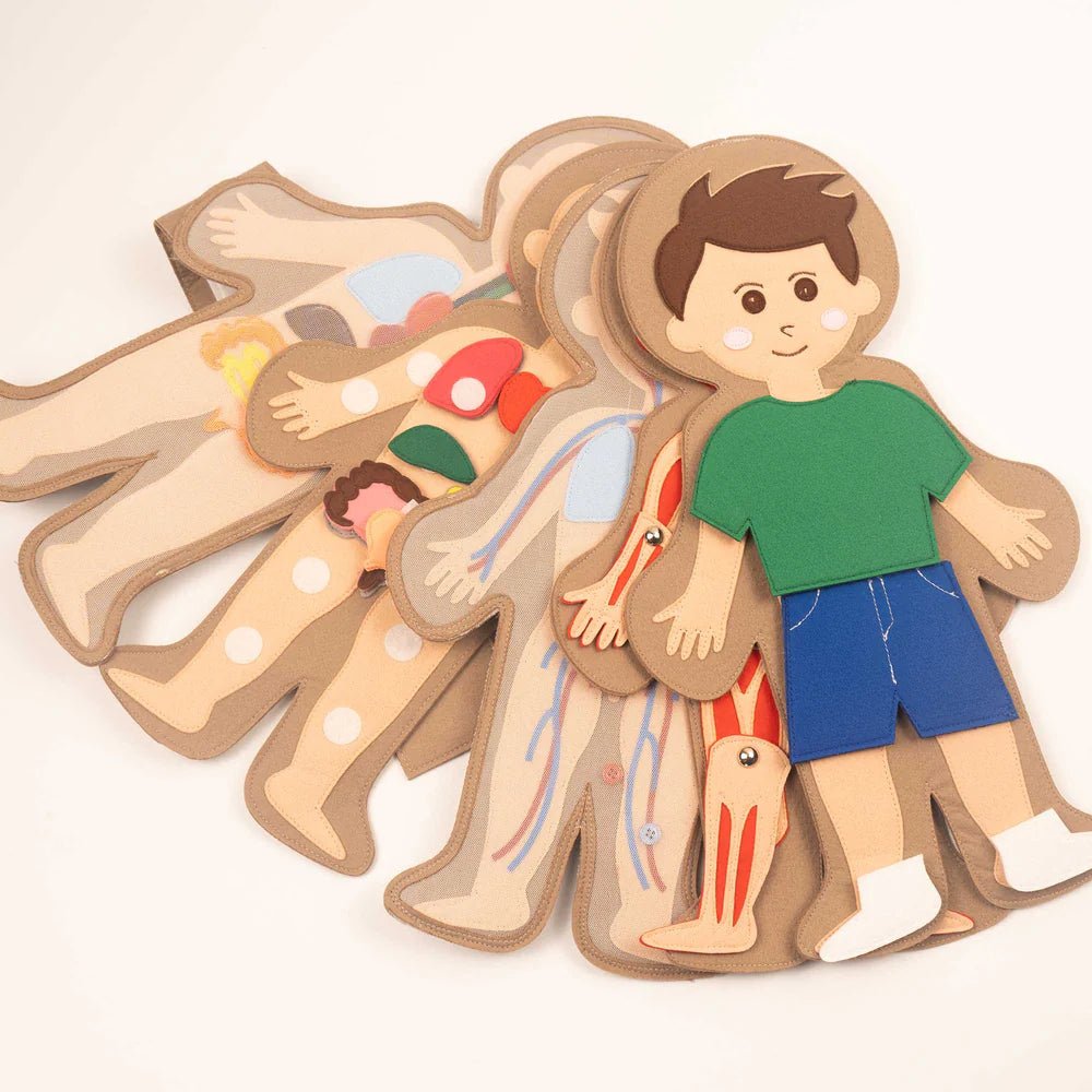 Jolly Designs Travel Buddy Mein Körper - Jungen Jolly Designs - malmichmunt.com
