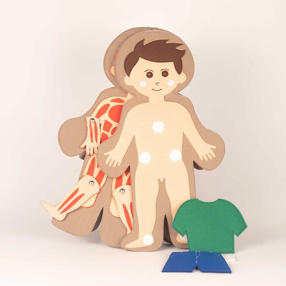 Jolly Designs Travel Buddy Mein Körper - Jungen Jolly Designs - malmichmunt.com