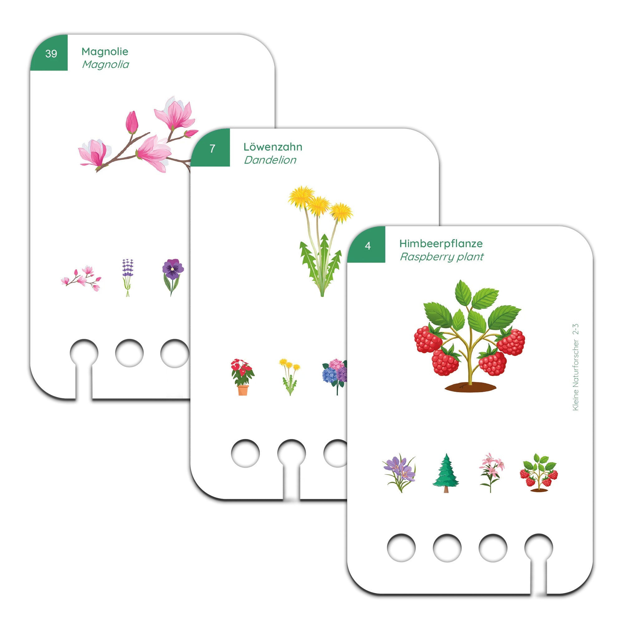 Kleine Naturforscher - Übungen für den Lochkasten Lernspielverlag - malmichmunt.com