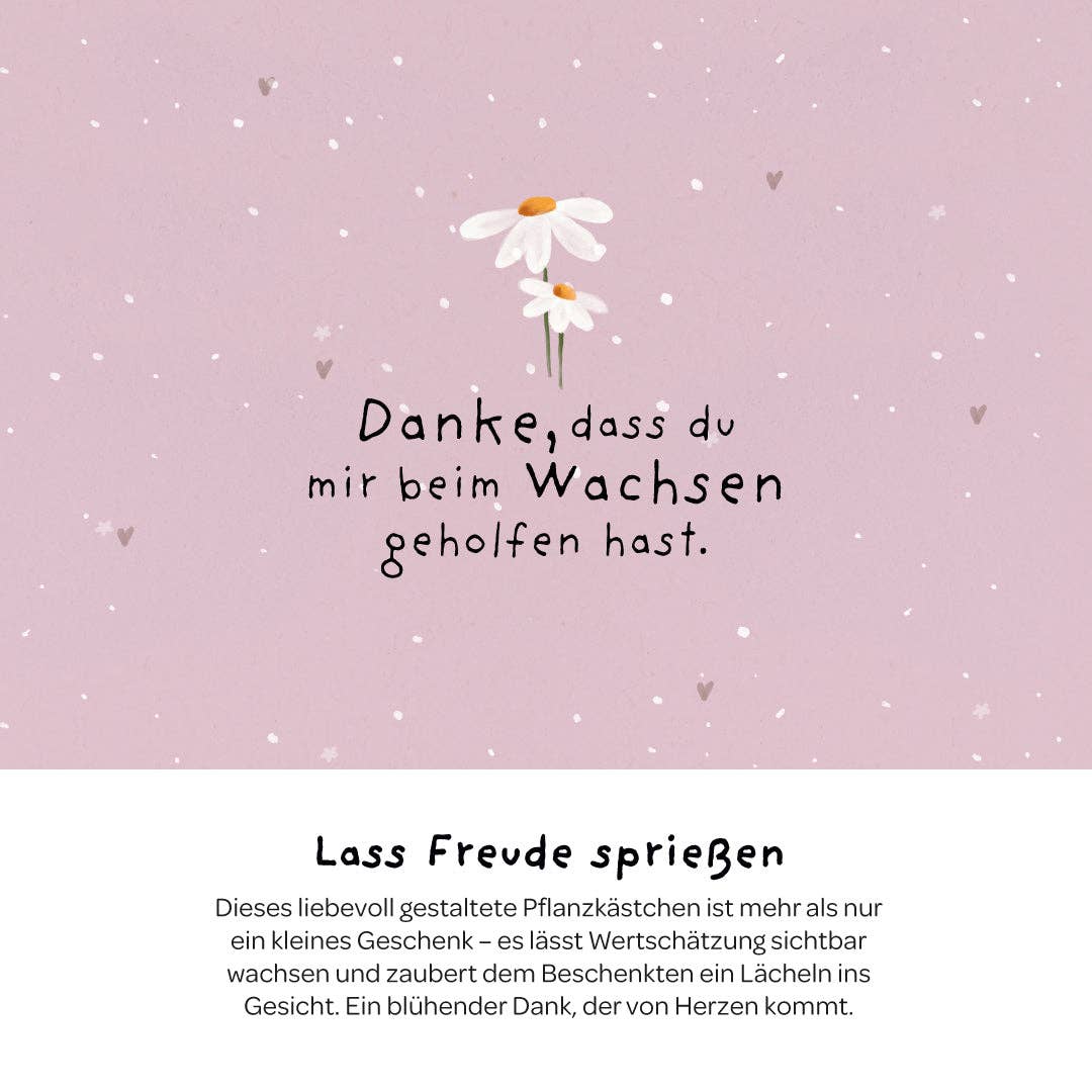 Pflanzkästchen - Danke wachsen TDJ Stadtgärtner GmbH - malmichmunt.com