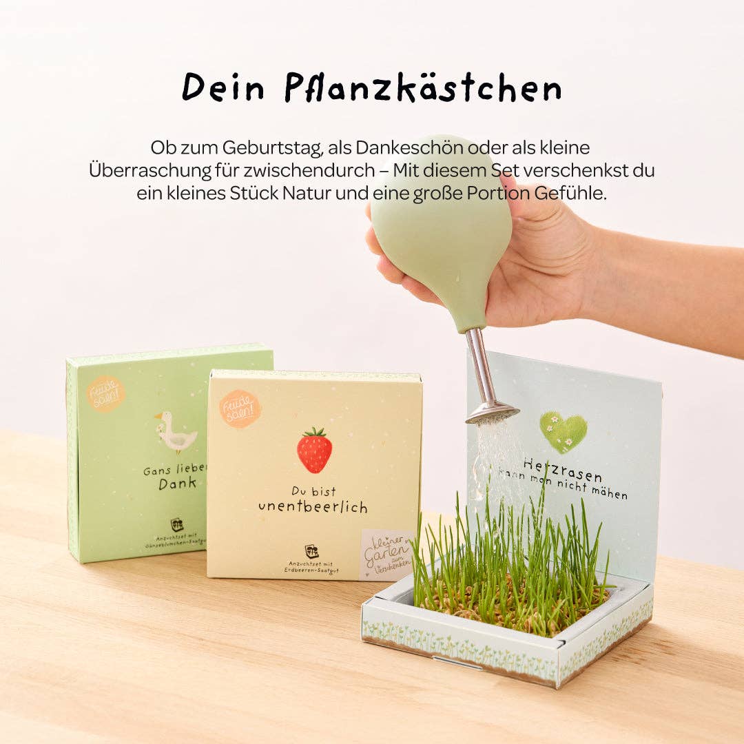 Pflanzkästchen - Danke wachsen TDJ Stadtgärtner GmbH - malmichmunt.com