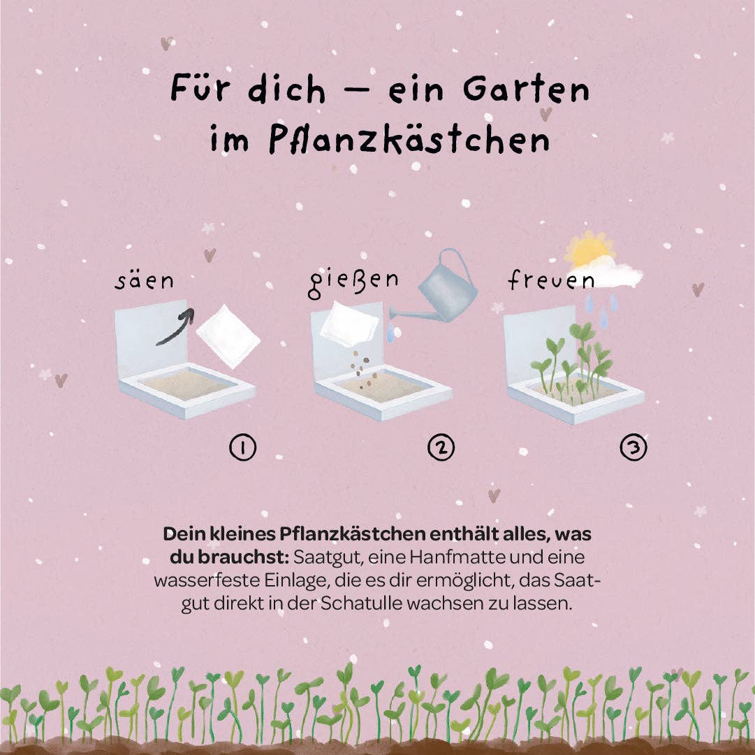 Pflanzkästchen - Danke wachsen TDJ Stadtgärtner GmbH - malmichmunt.com