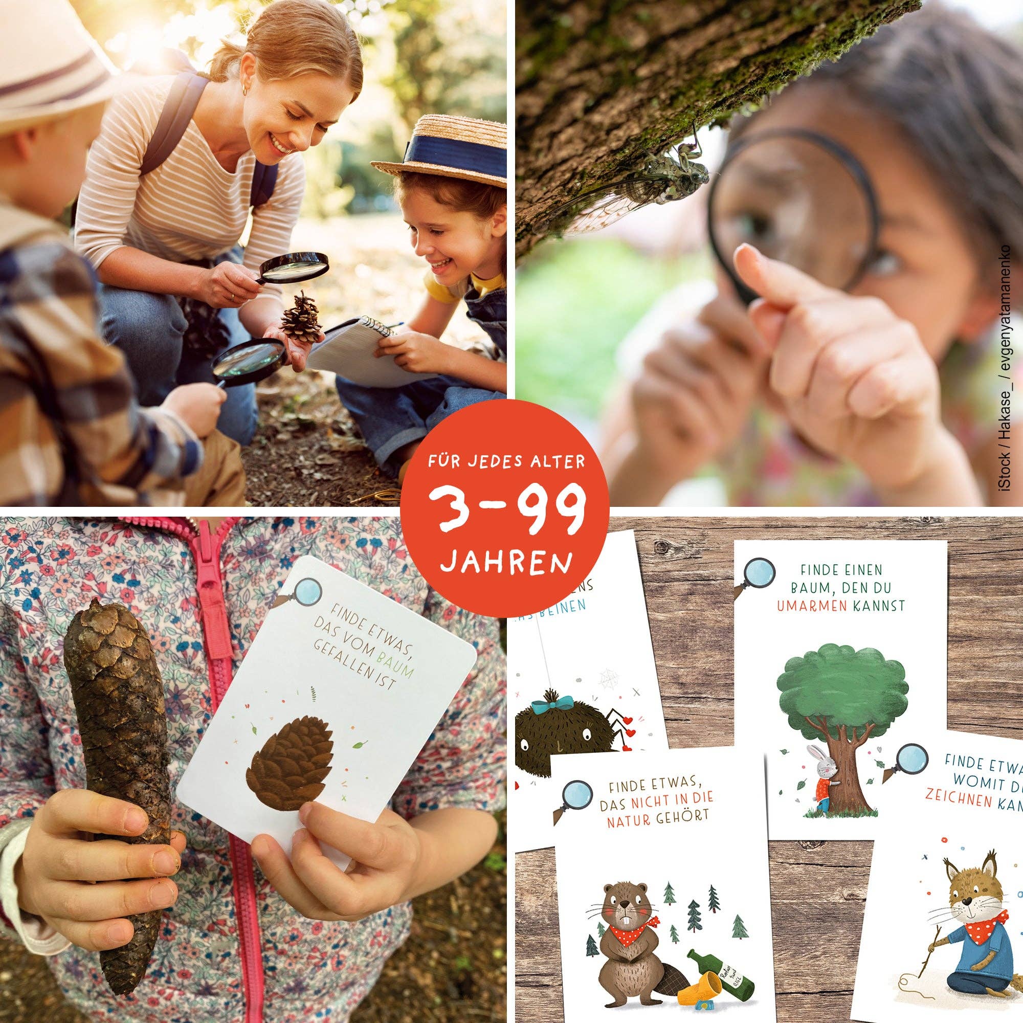 Suchen & Finden – Entdeckerkarten für Kinder Rüsselfuchs - malmichmunt.com