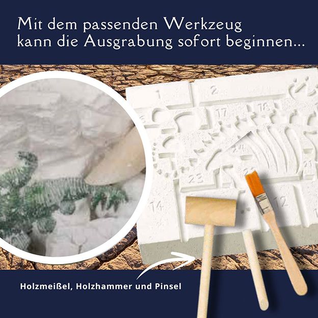 Topp Verlag Ausgrabungsadventskalender - Dinosaurier TOPP Verlag - malmichmunt.com