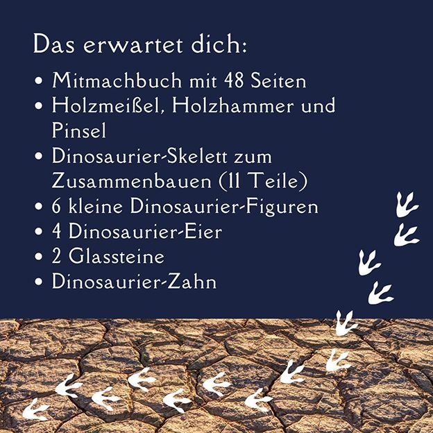 Topp Verlag Ausgrabungsadventskalender - Dinosaurier TOPP Verlag - malmichmunt.com