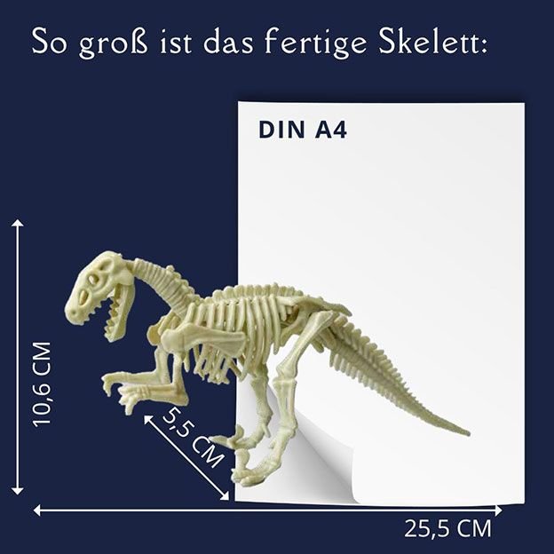 Topp Verlag Ausgrabungsadventskalender - Dinosaurier TOPP Verlag - malmichmunt.com