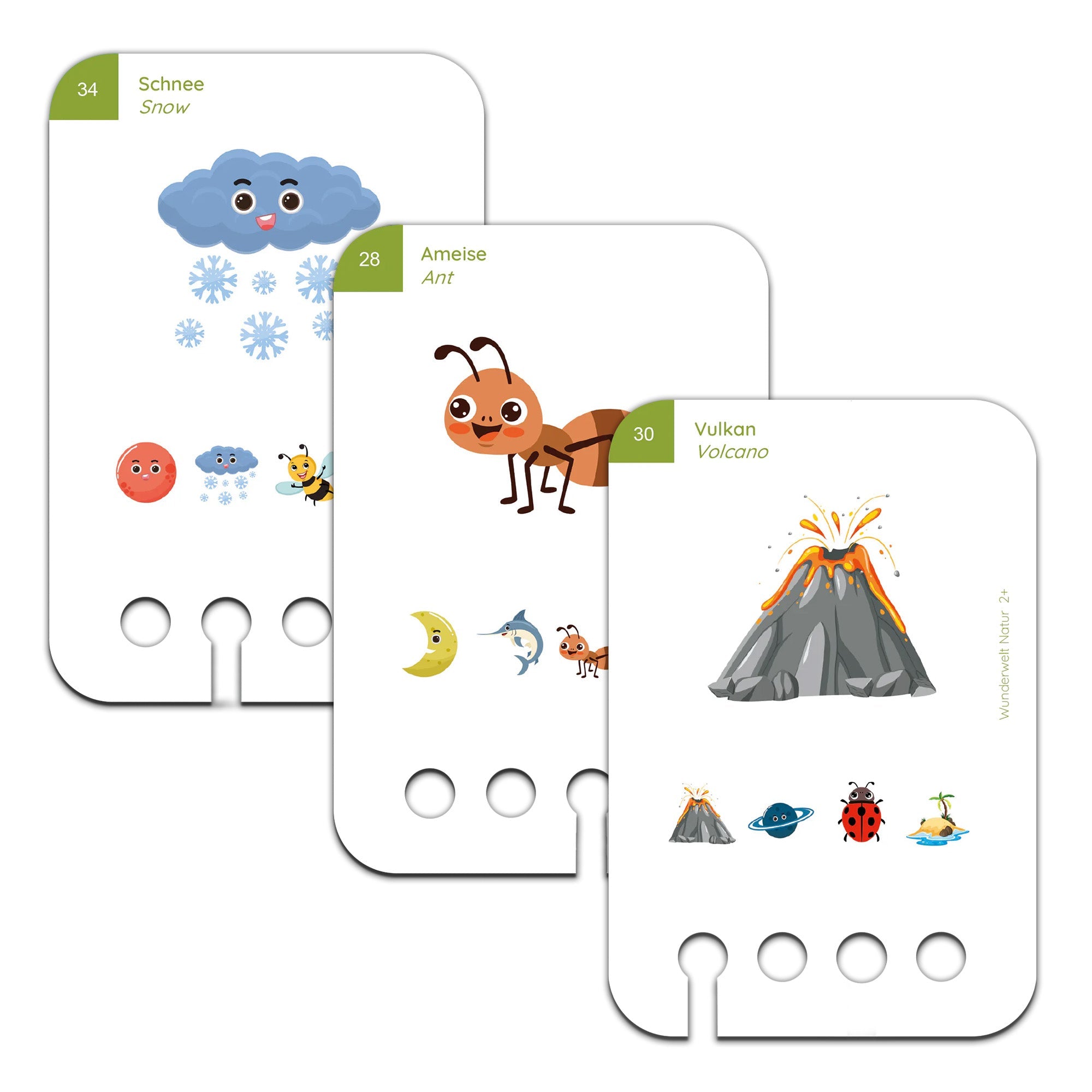 Wunderwelt Natur - Übungen für den Lochkasten Lernspielverlag - malmichmunt.com